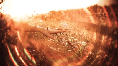 persons hand on brown grass spiritual zoom background