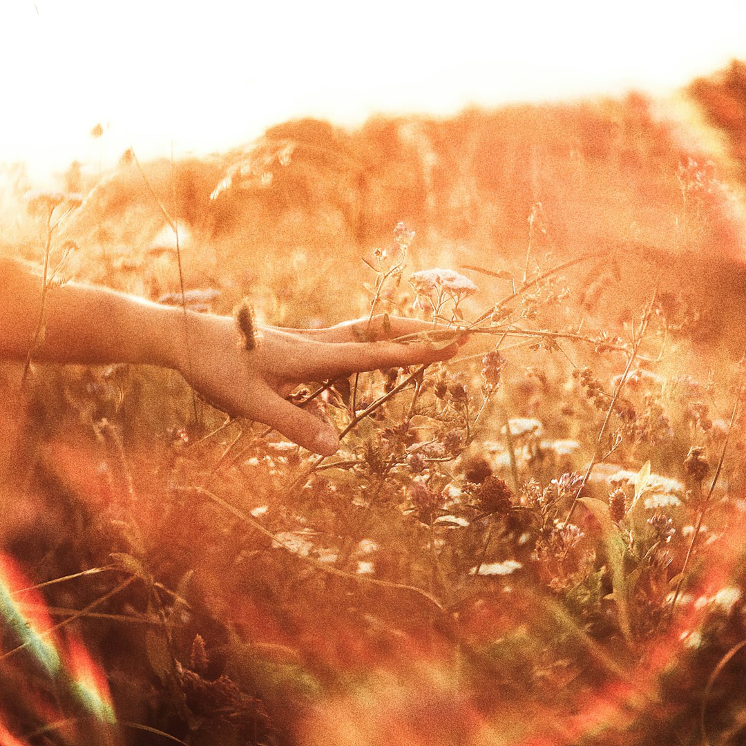 Espiritualidade como responsabilidade