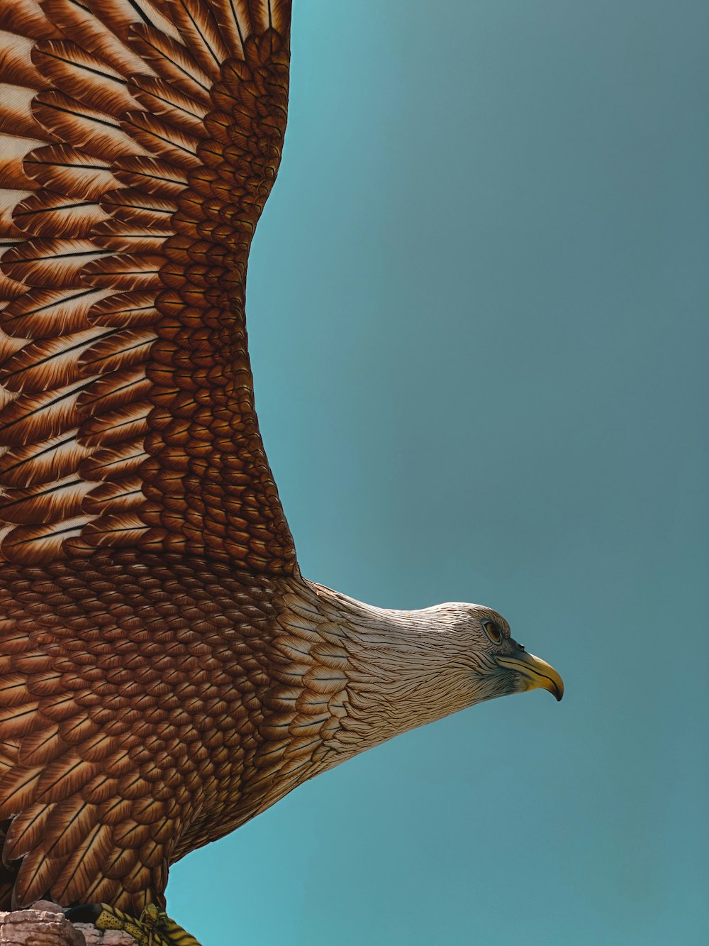 brown and white bird flying