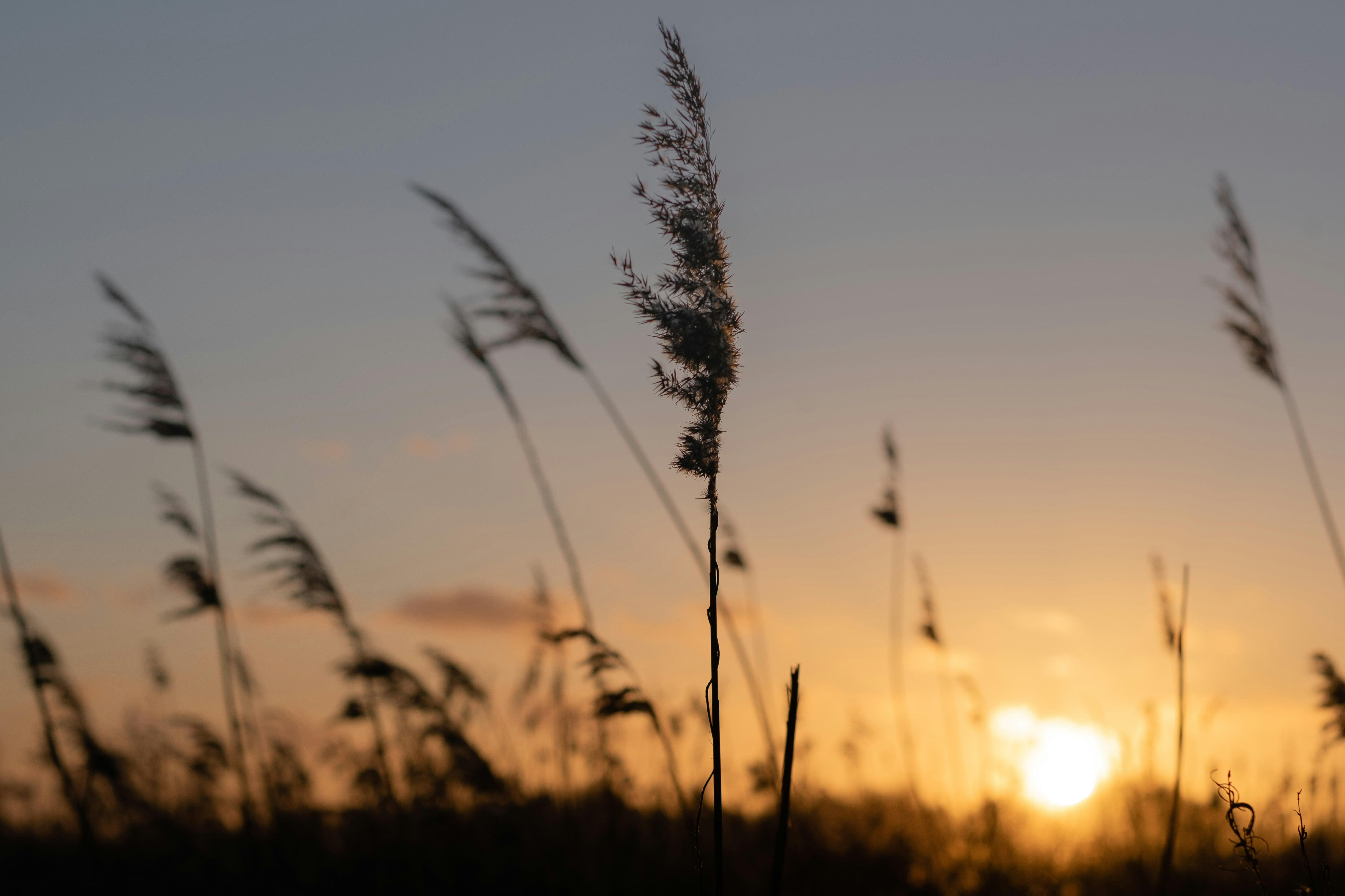 Photo by bart_de_jonge