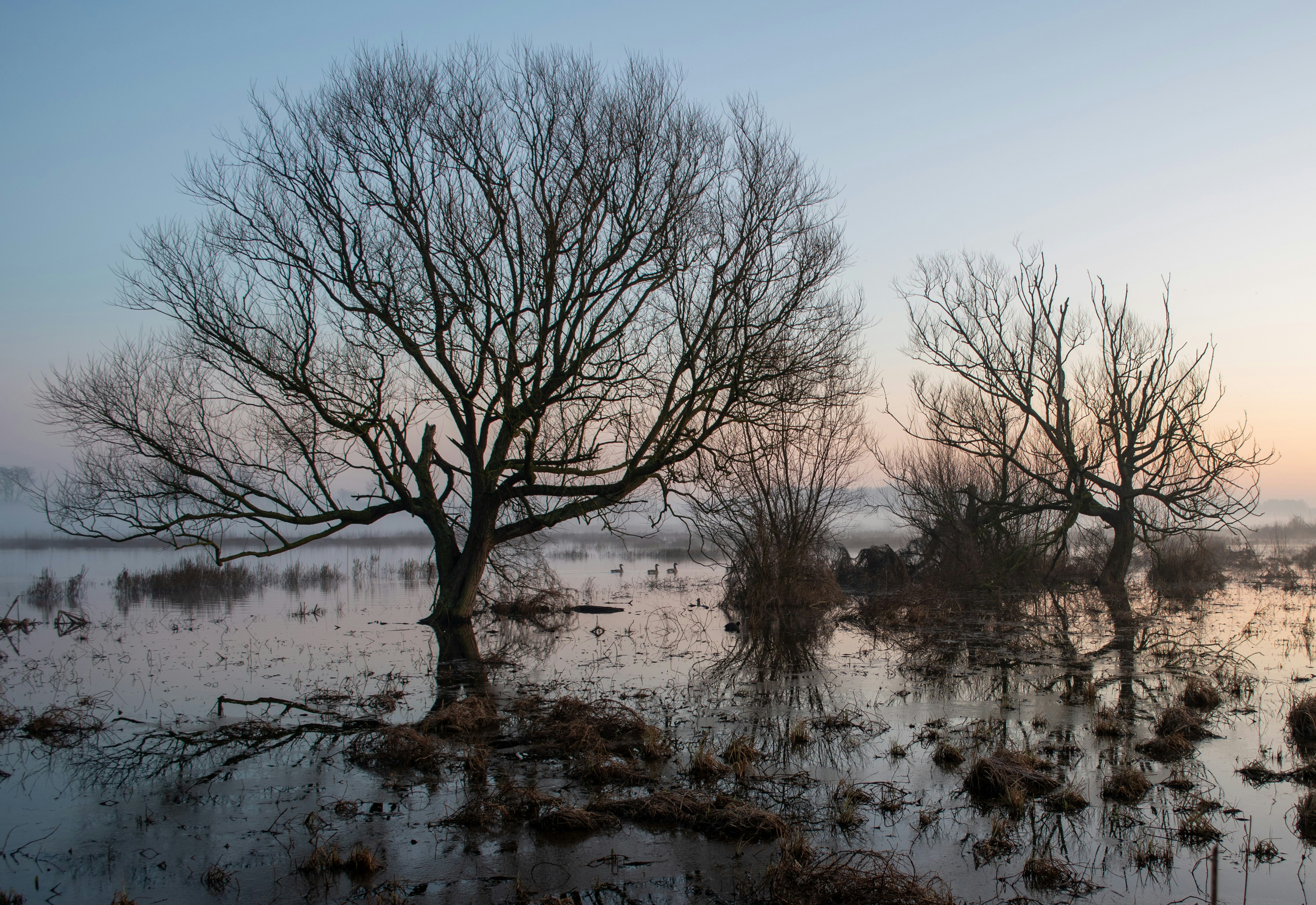 Photo by bart_de_jonge