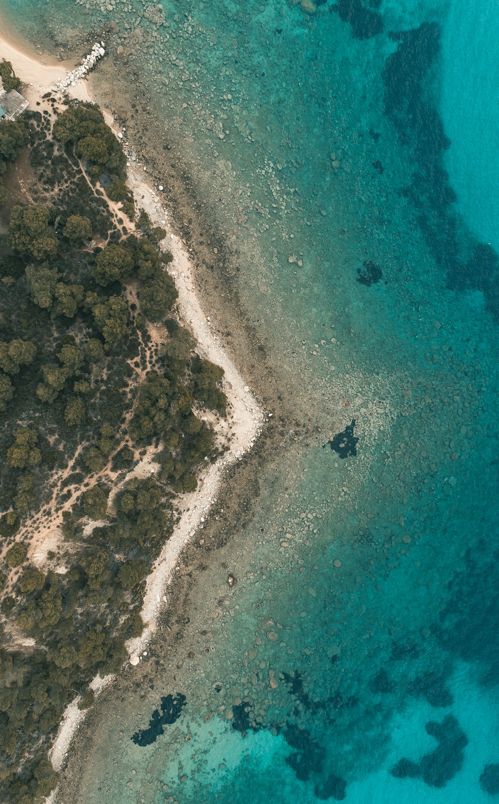 aerial view of body of water during daytime