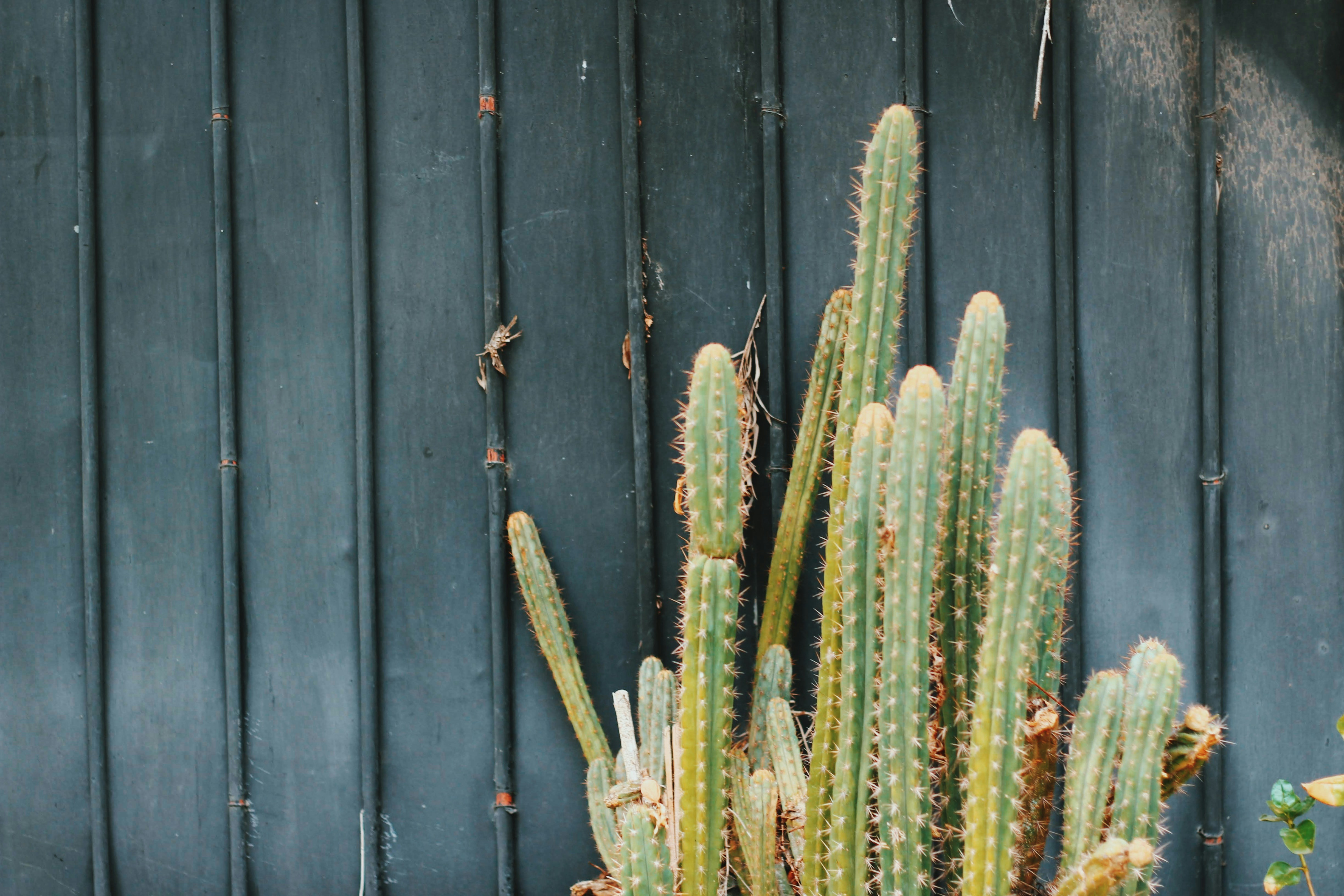 Photo by nathanareboucas