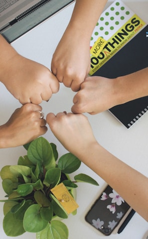 person holding green flower bud