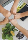 person holding green flower bud