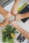 person holding green flower bud