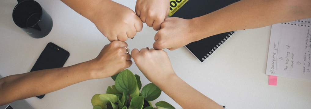 person holding green flower bud