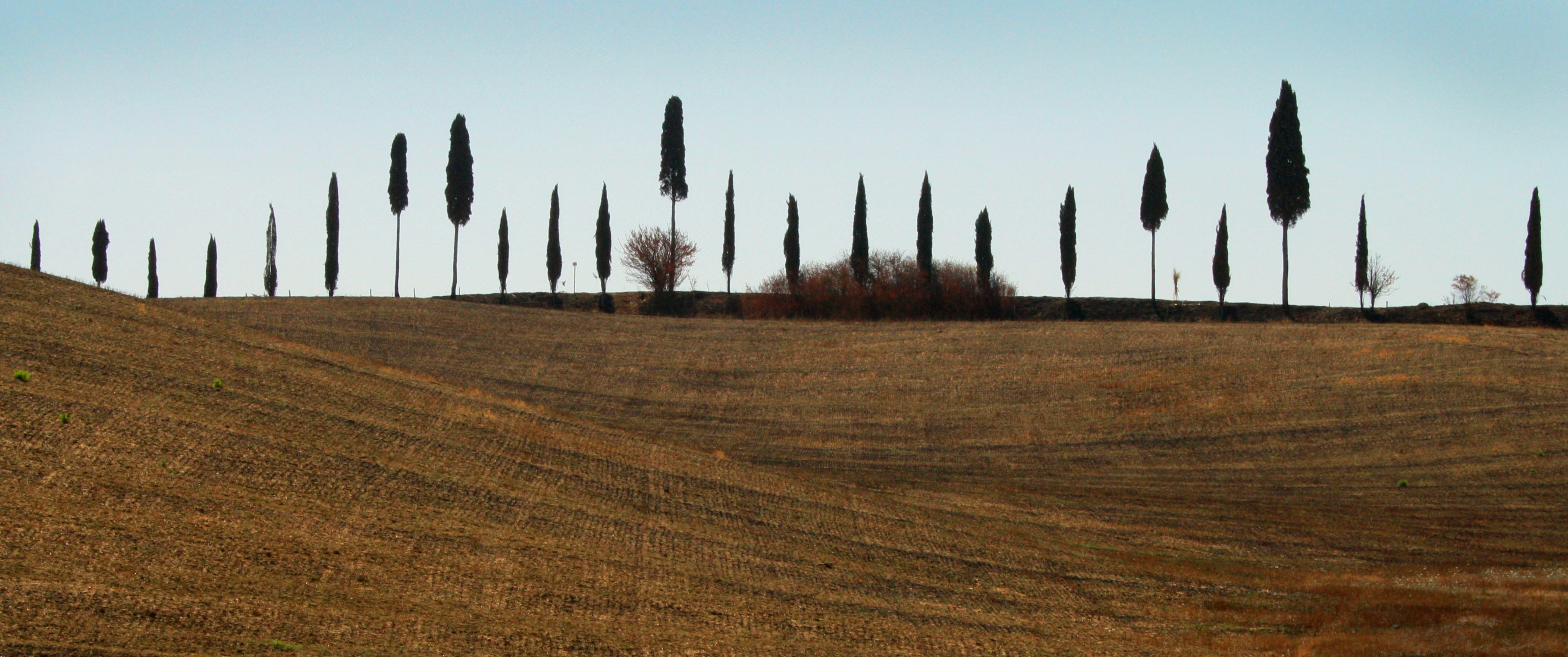 Photo by aczel