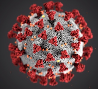 coronavirus