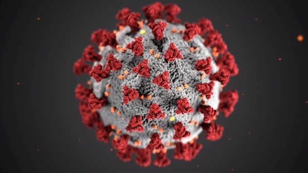 This illustration, created at the Centers for Disease Control and Prevention (CDC), reveals ultrastructural morphology exhibited by coronaviruses. Note the spikes that adorn the outer surface of the virus, which impart the look of a corona surrounding the virion, when viewed electron microscopically. A novel coronavirus, named Severe Acute Respiratory Syndrome coronavirus 2 (SARS-CoV-2), was identified as the cause of an outbreak of respiratory illness first detected in Wuhan, China in 2019. The illness caused by this virus has been named coronavirus disease 2019 (COVID-19).by CDC
