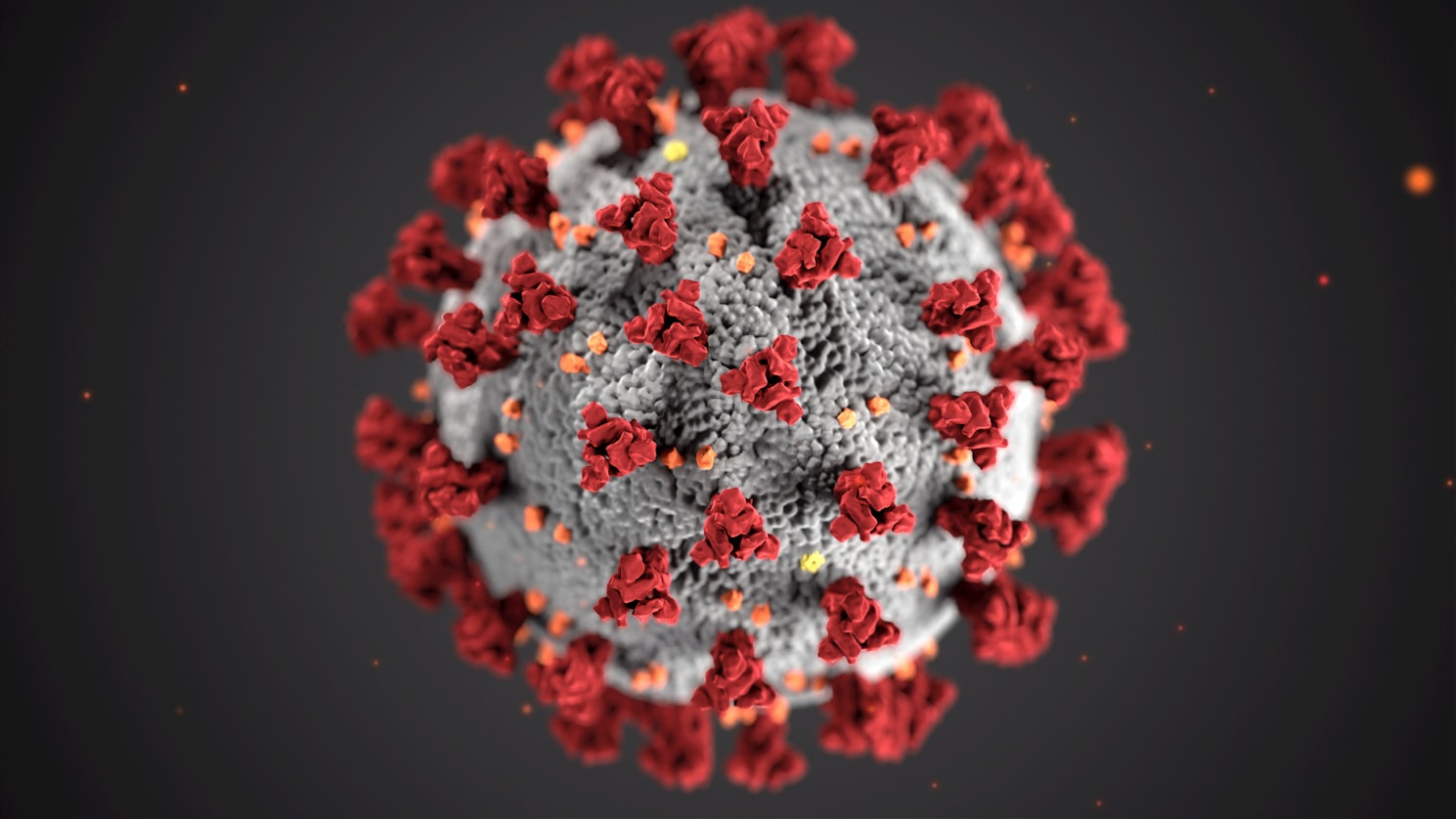 Illustration of the Coronavirus under a microscope