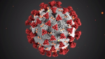coronavirus virus zoom background