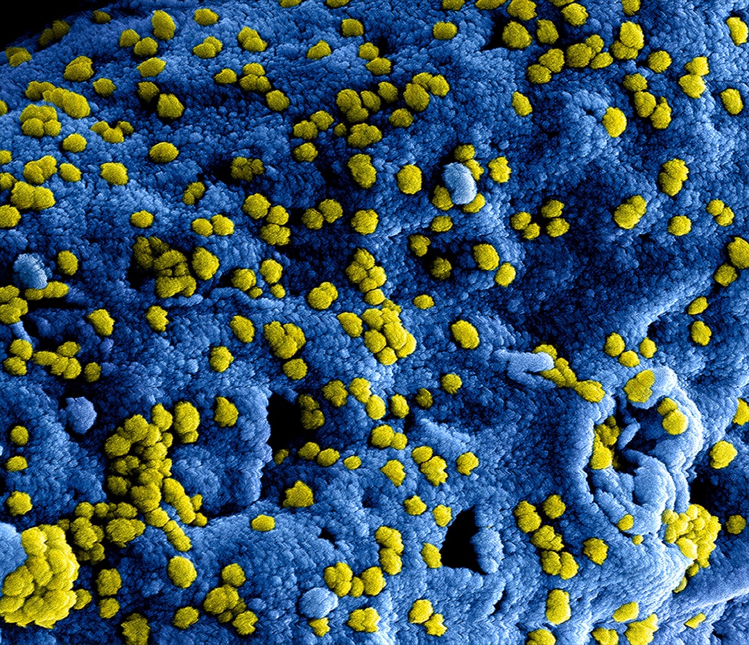 Anthropological Implications How a Genetic Variant Shapes Fungal In… — Anthropological Implications How a Genetic Var...