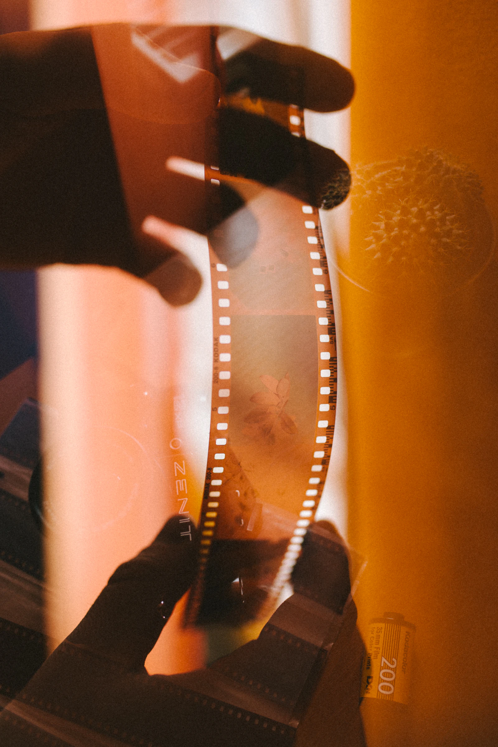 A strip of 35 mm film held up to warm light