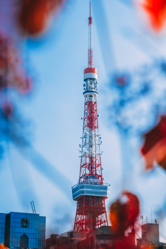 red and white tower under blue sky in Shiba Park Japan
