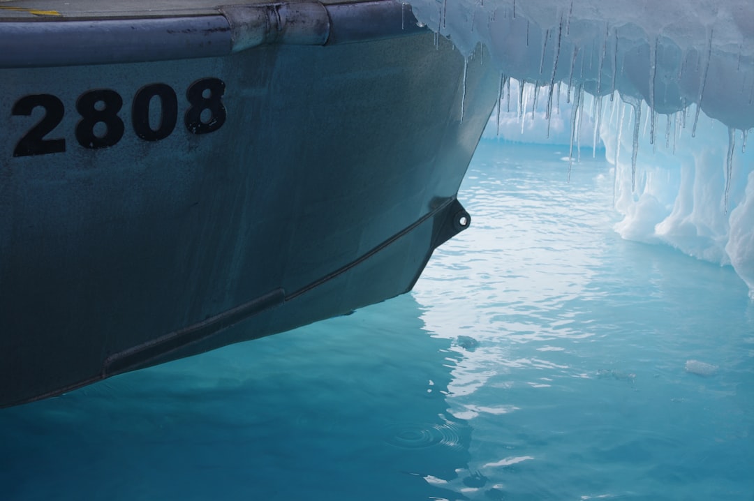 black and white ship on blue water