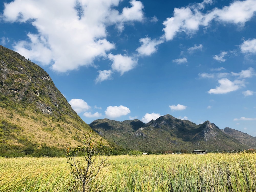 Champ d’herbe verte près de la montagne sous le ciel bleu pendant la journée