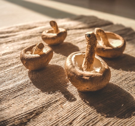 Close-up of freshly harvested shiitake and oyster mushrooms nestled in natural straw with soft morning light.