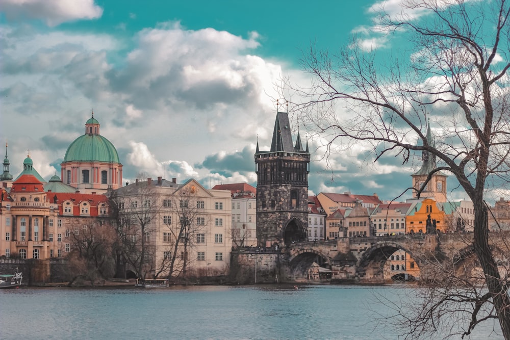 Braunes und grünes Betongebäude neben Gewässer unter blauem Himmel tagsüber