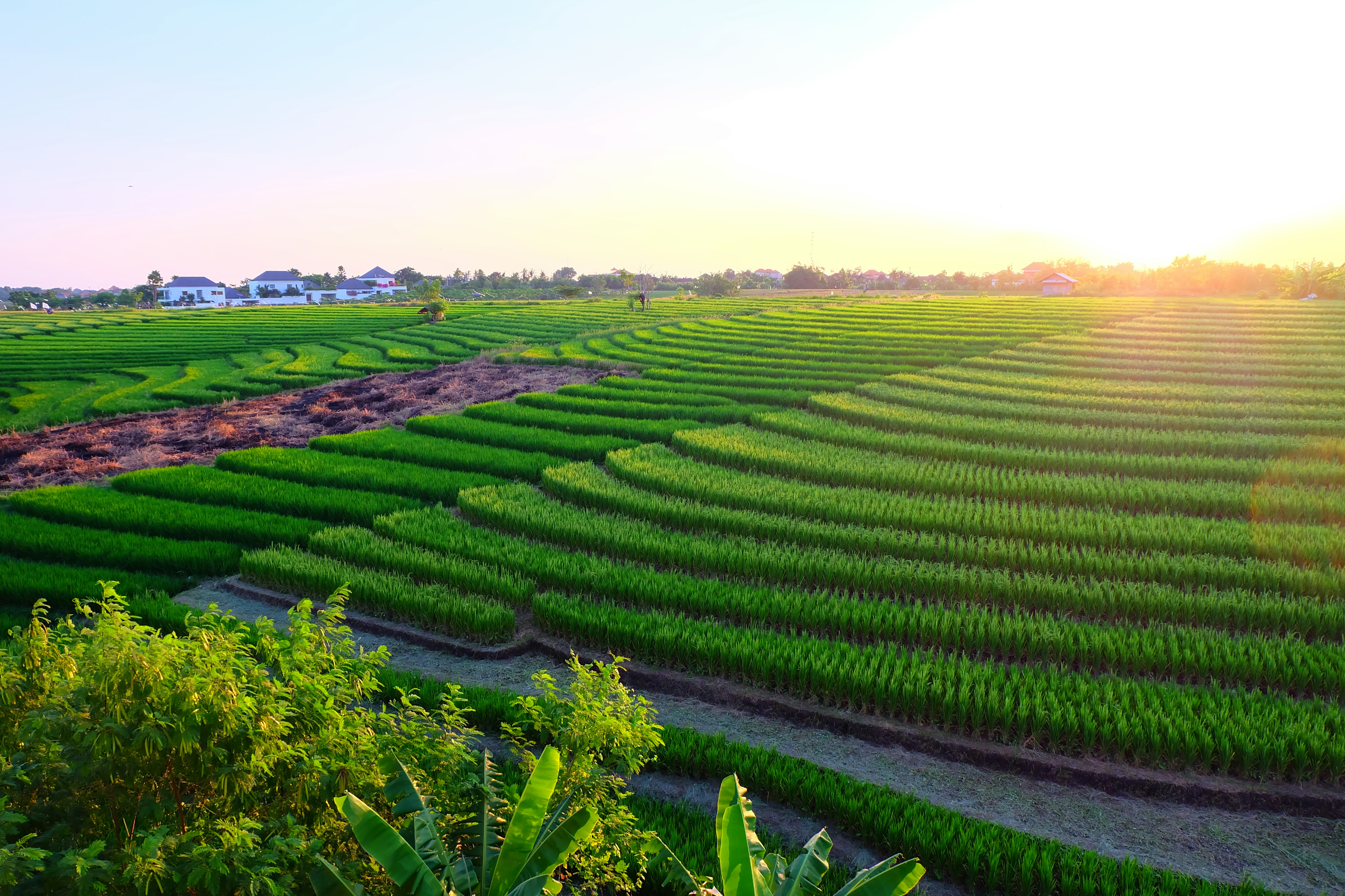 Photo by sashalyudevig