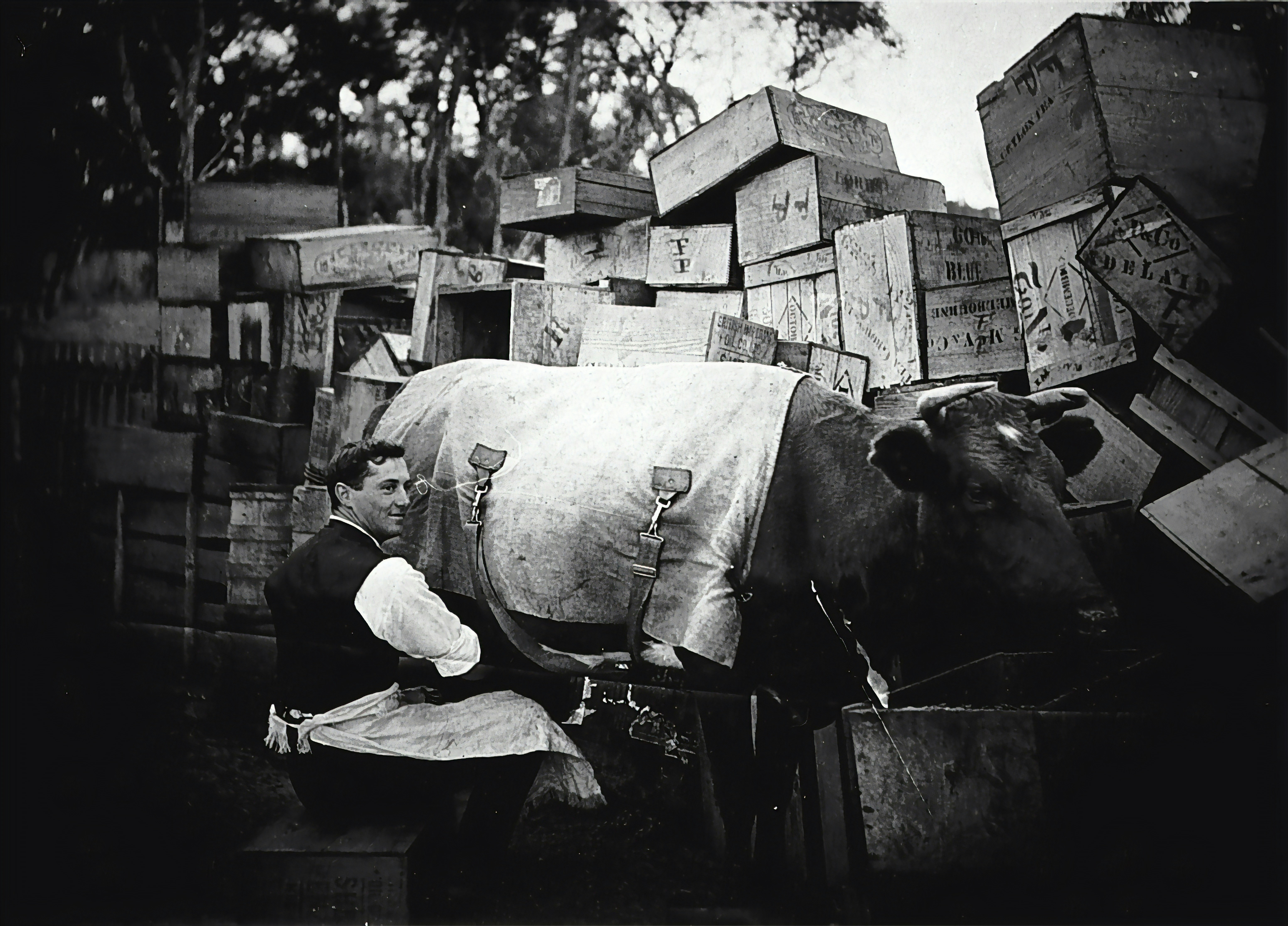 Victoria, circa 1915