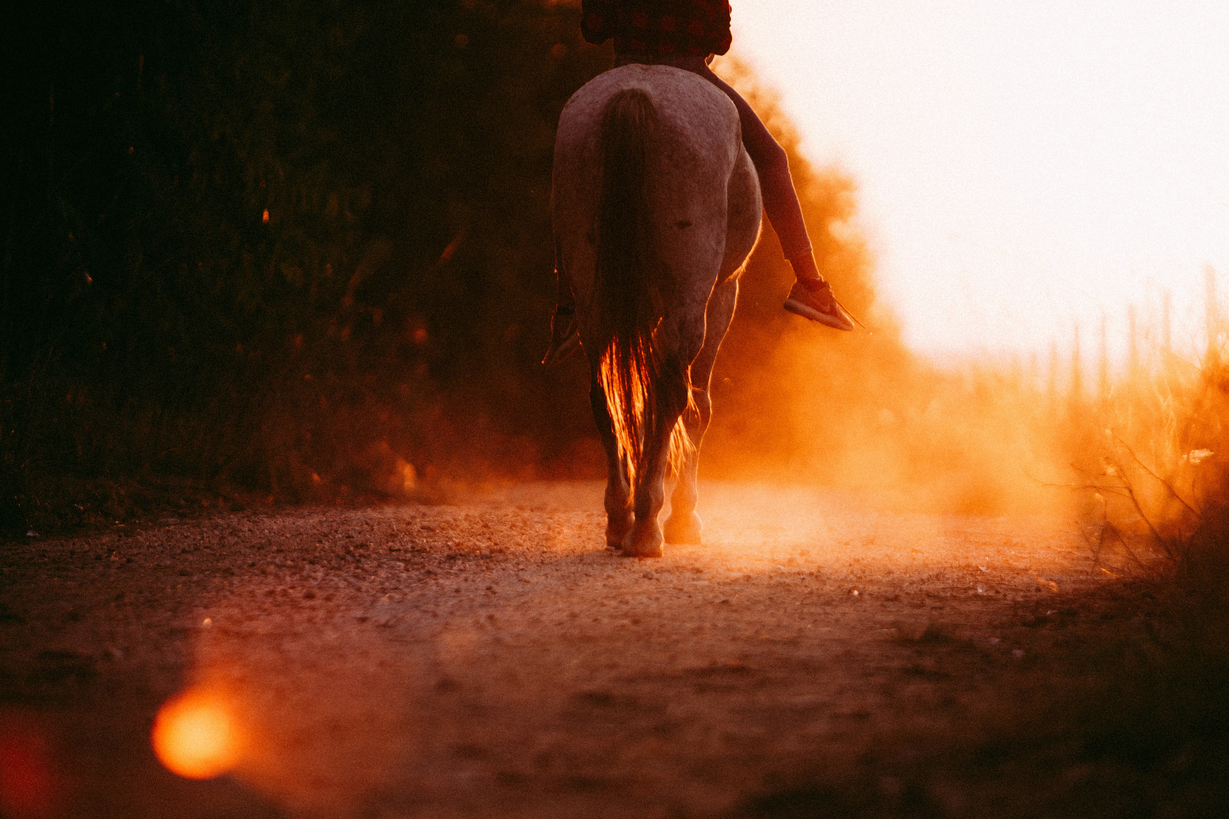 person in black coat walking on dirt road during daytime
