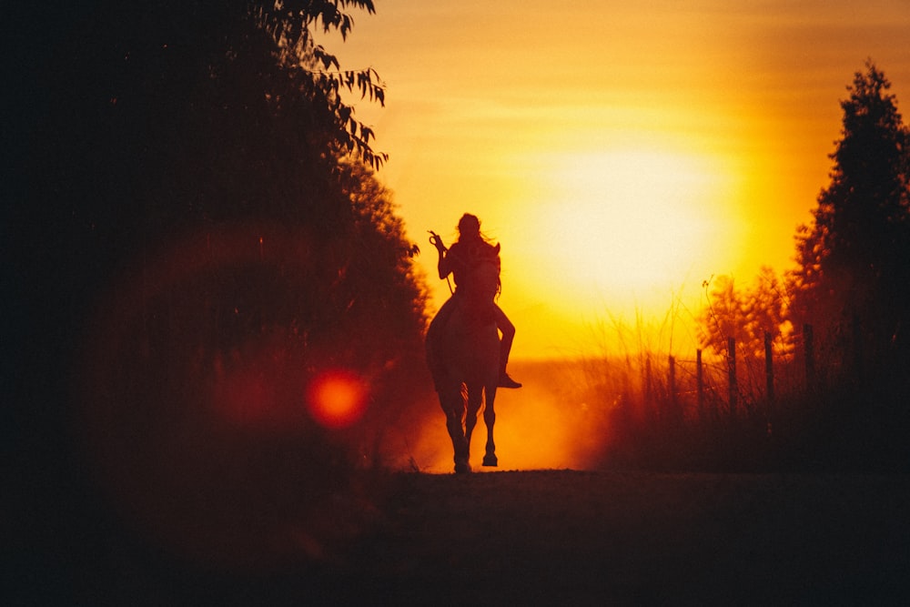 silhouette of man standing on grass field during sunset