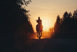 silhouette of person riding horse during sunset
