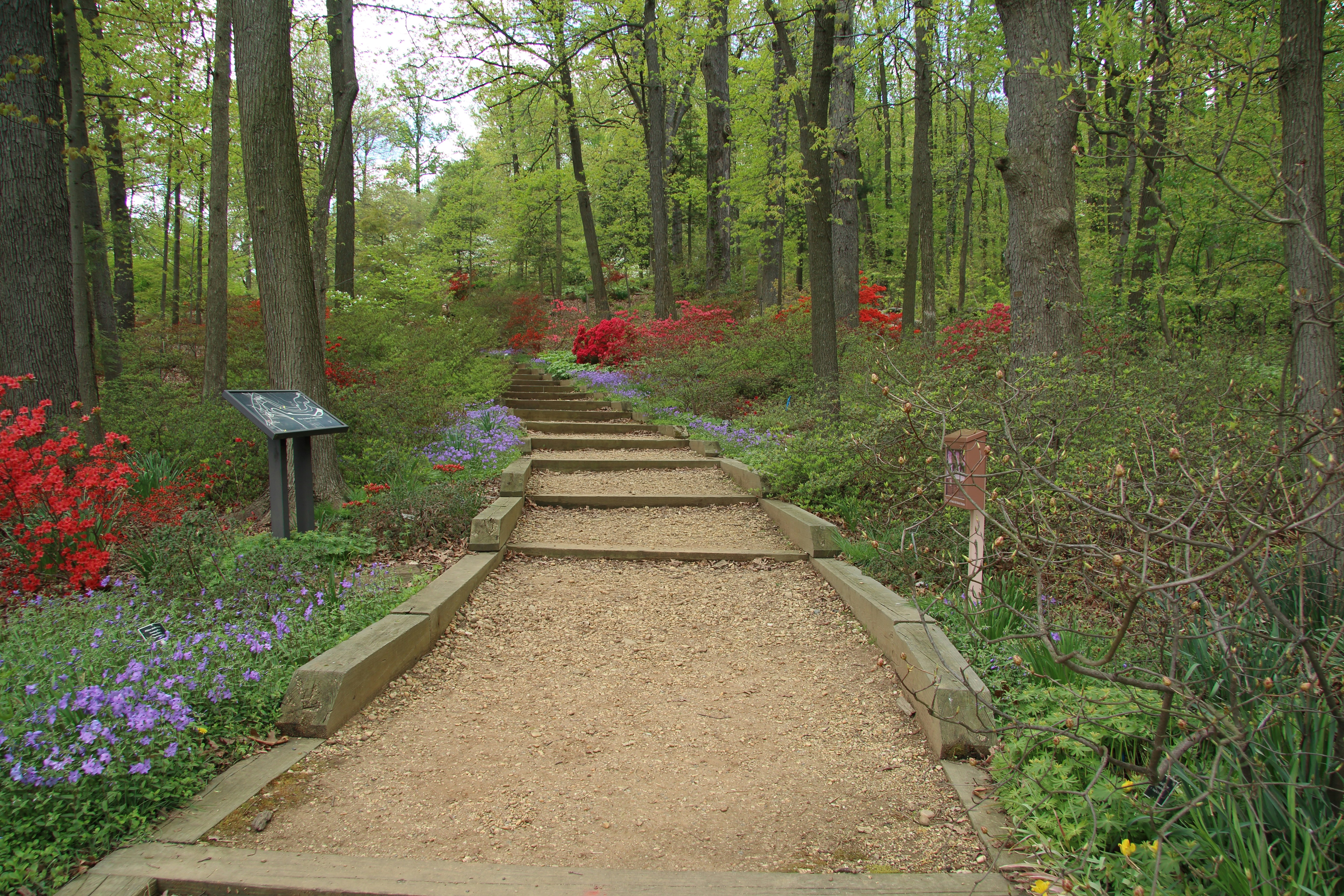 H.H. Hunnewell Arboretum