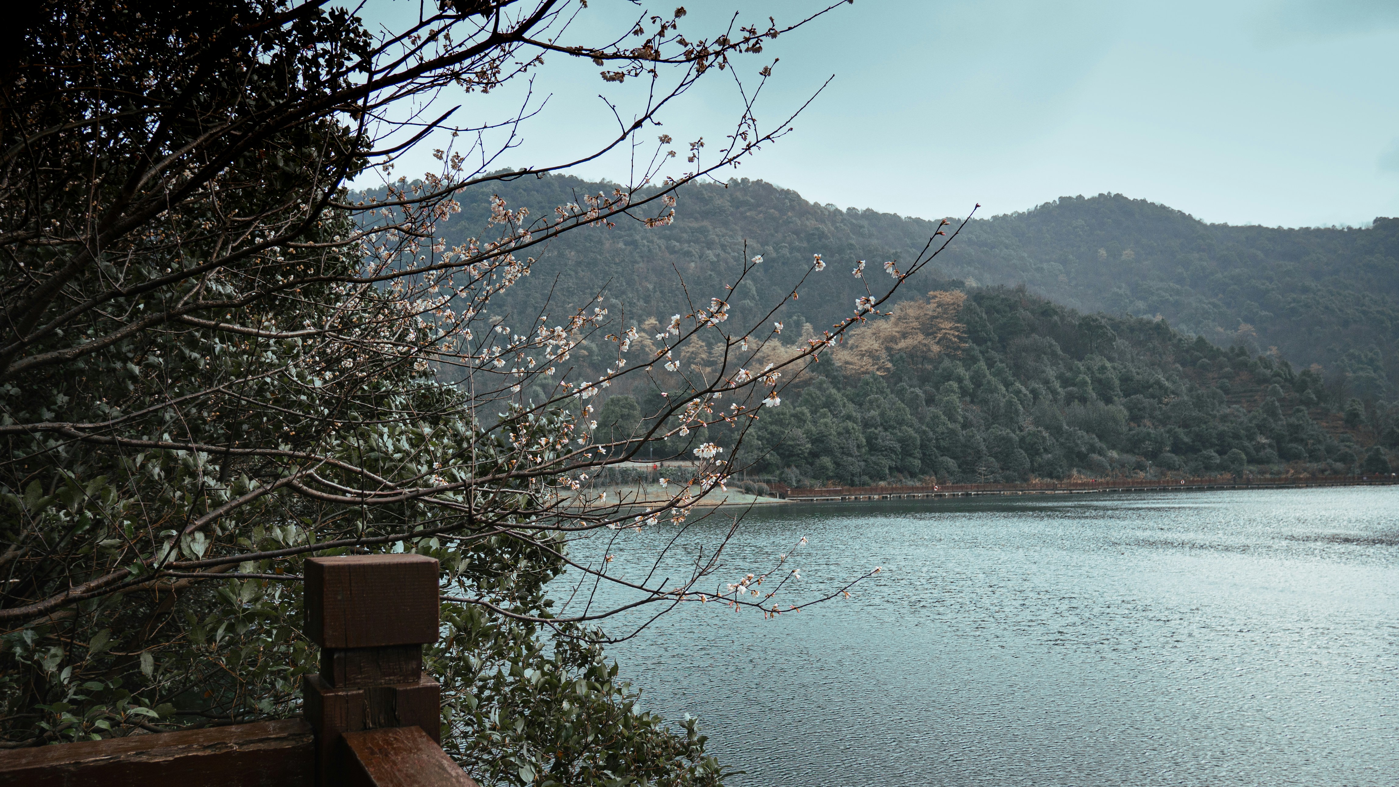 Photo by xiexianghua