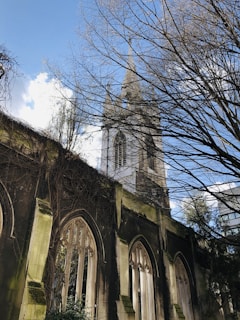 Historic stone church in Paperino with ivy climbing its walls and a clear sky backdrop