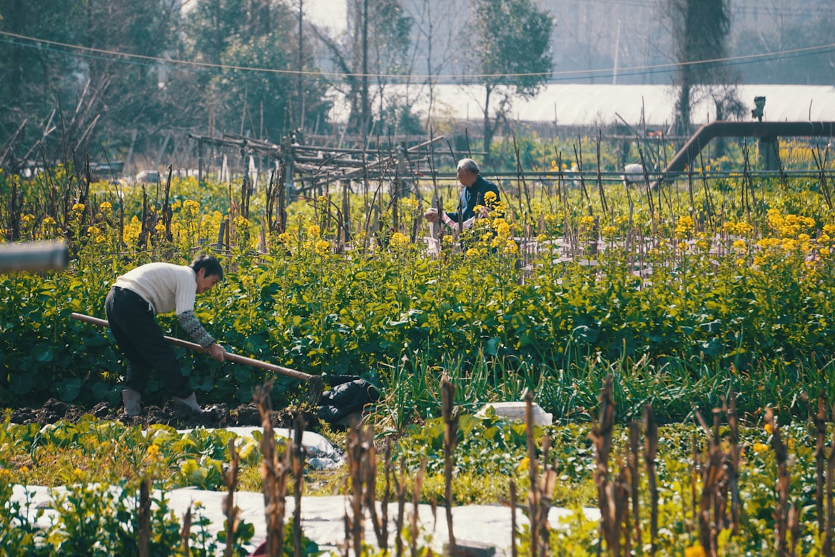 Two people working on a farm