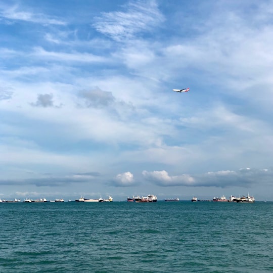 birds flying over the sea during daytime in Bedok Singapore
