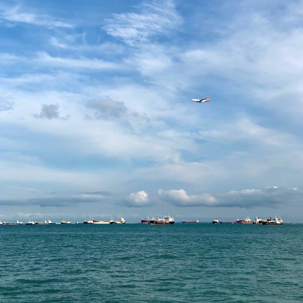 birds flying over the sea during daytime