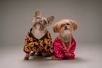 A collection of stylish dog outfits.
