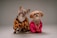 Two dogs wearing stylish outfits pose together. One is a French Bulldog dressed in a black and orange patterned sweater with a curious tilt of the head. The other is a small fluffy dog in a bright pink and black striped outfit, accessorized with a gold chain necklace, giving a slightly regal expression.