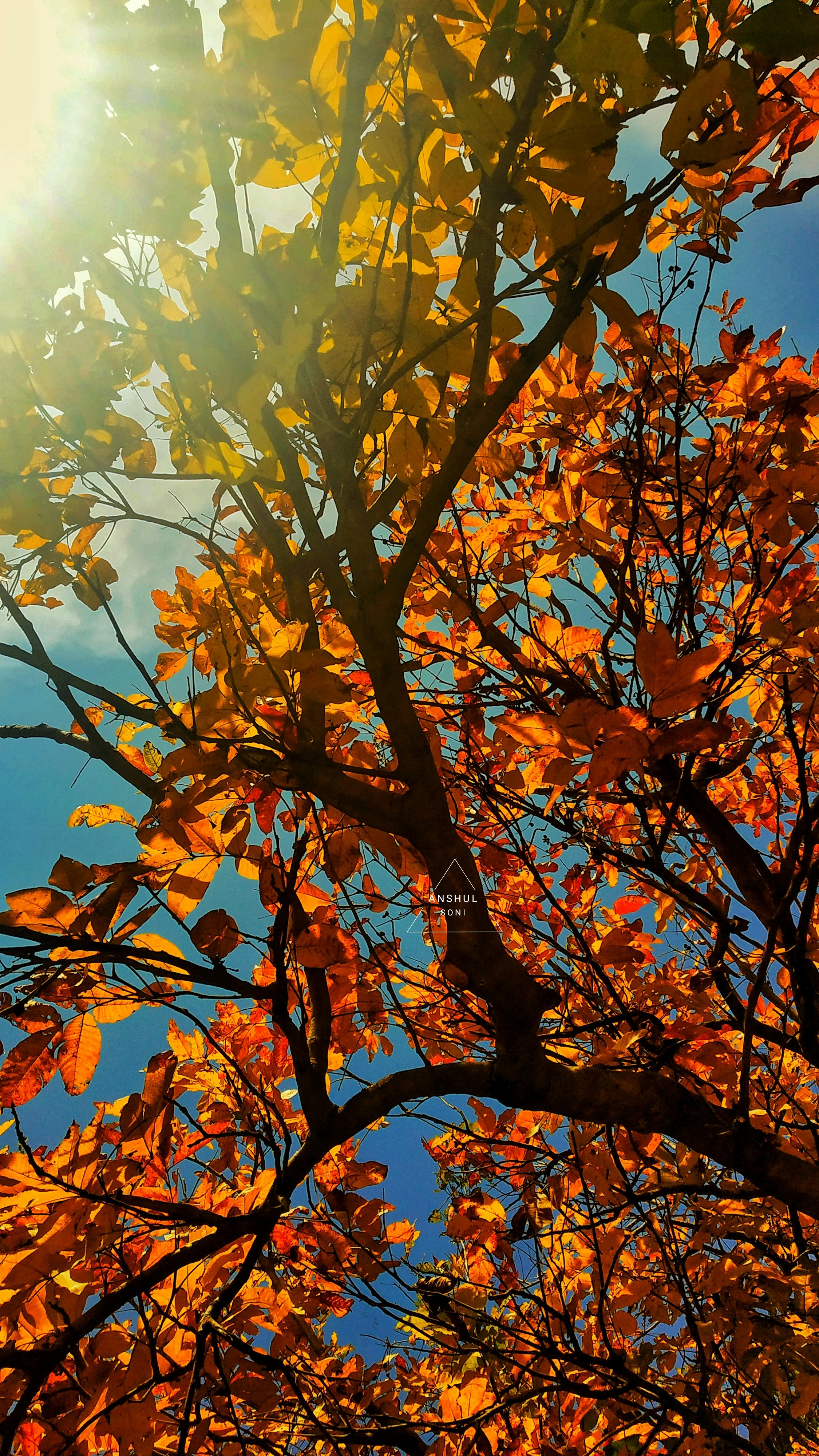 Photo by anshul_photography