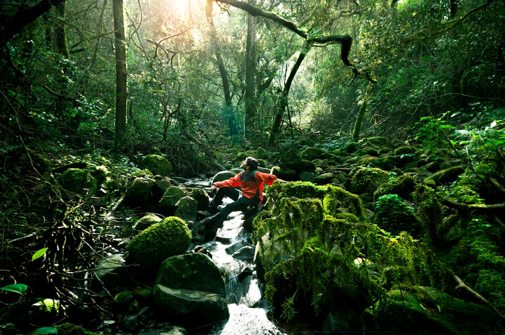 person in red jacket and black pants standing on gray rock surrounded by green plants during