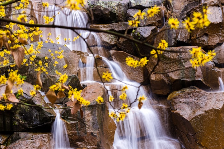 Drawn By The Waterfall