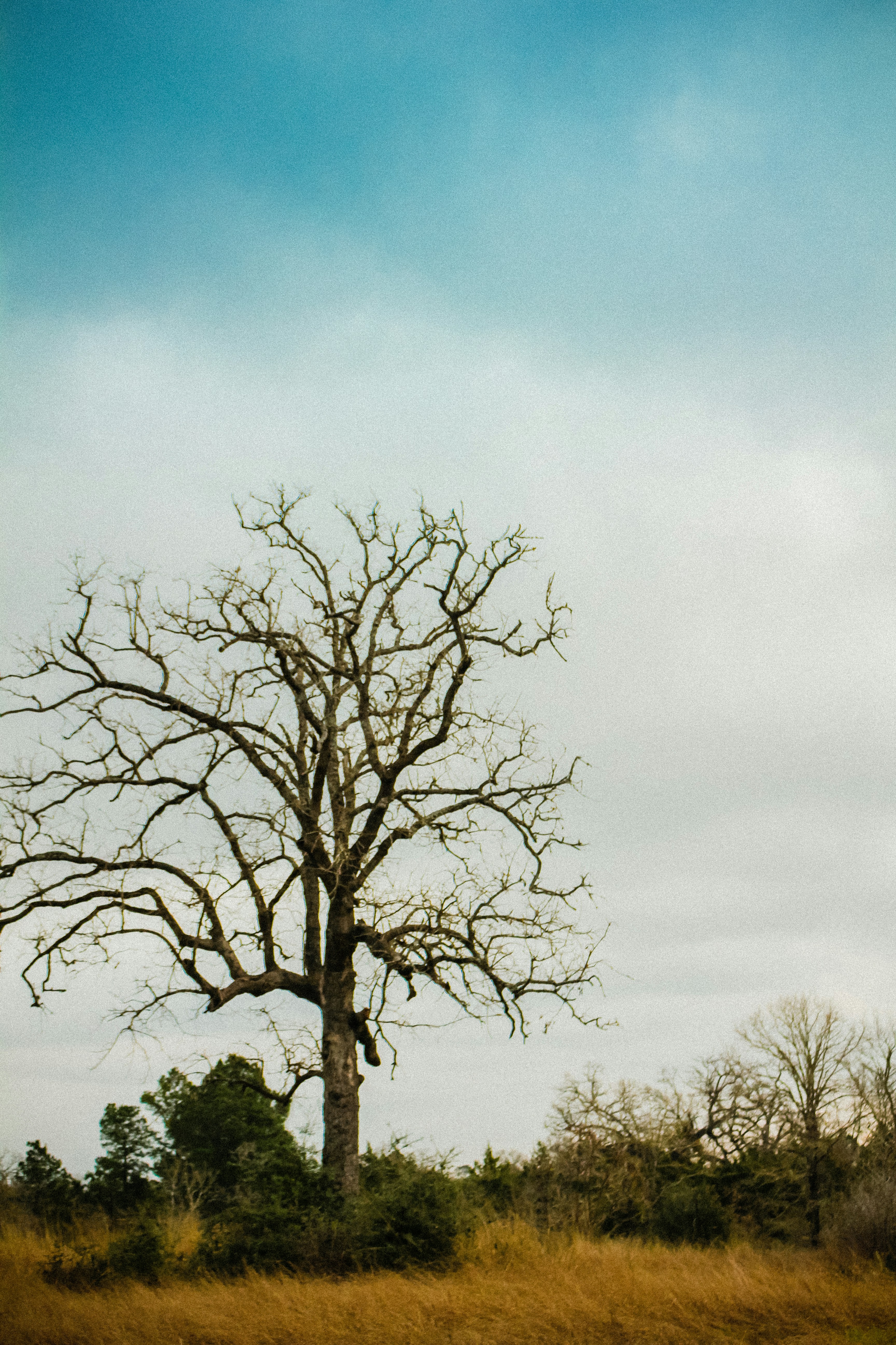 Photo by delaneyvan