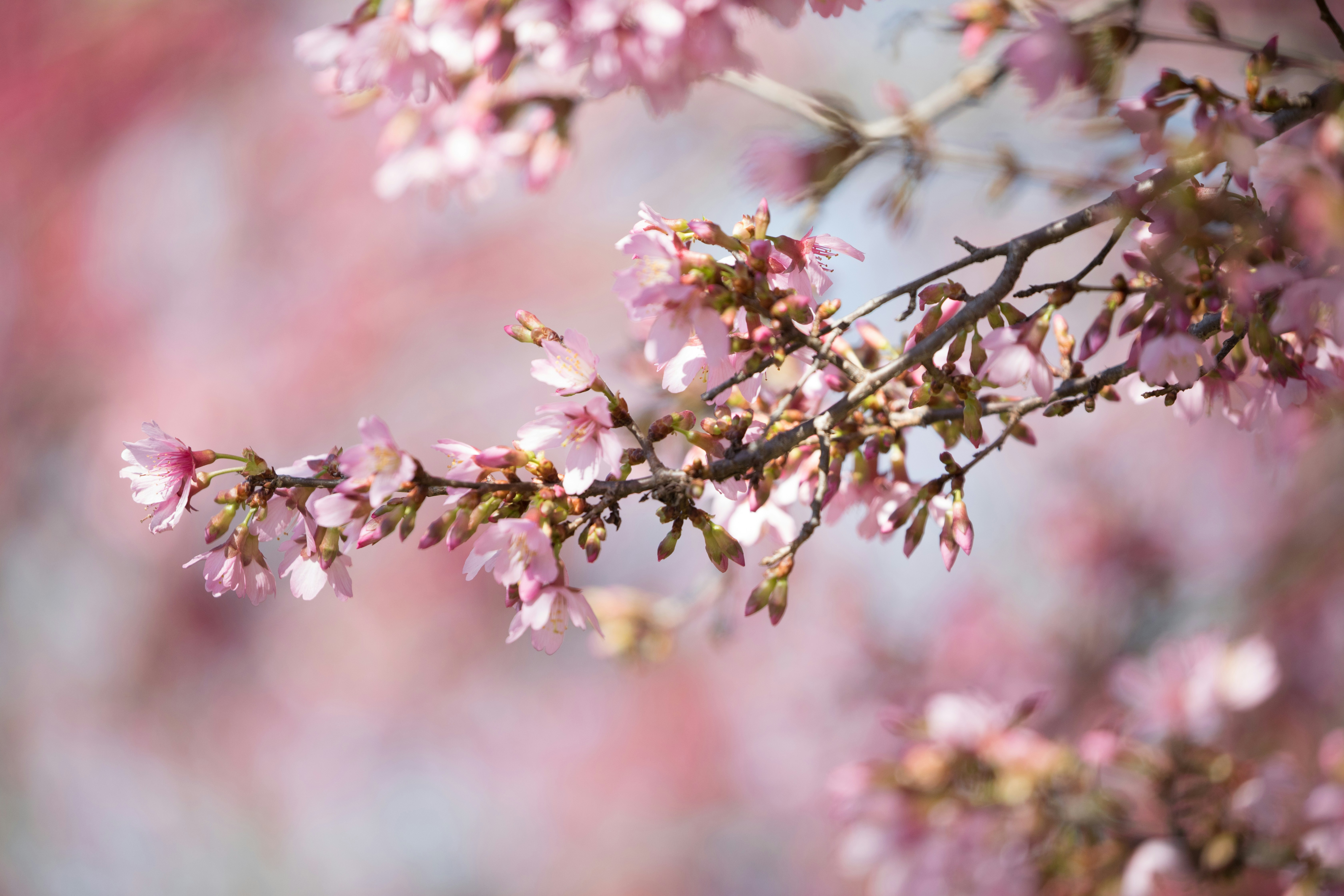 Photo by camerainhand