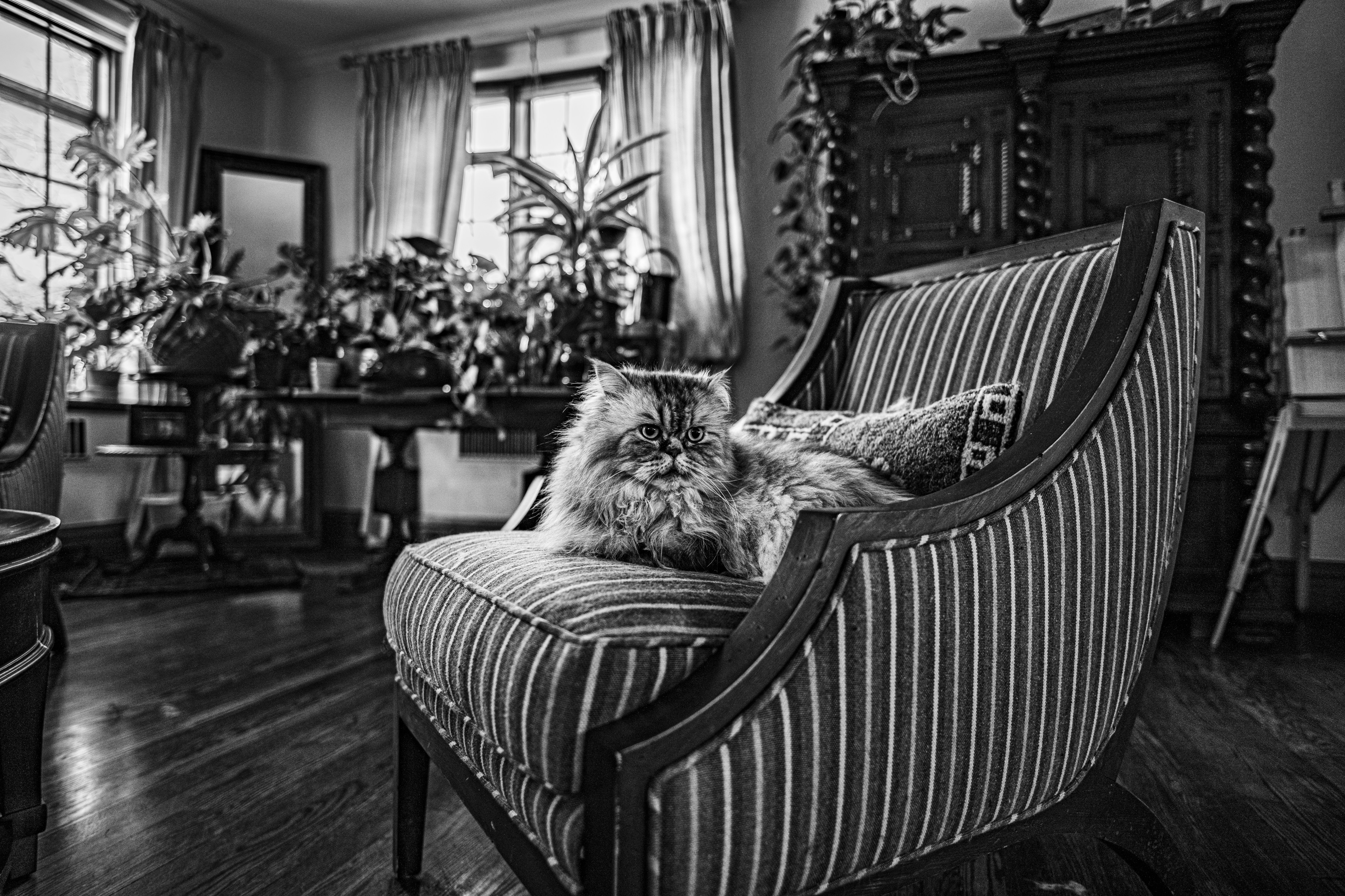 Sell Your Old Furniture