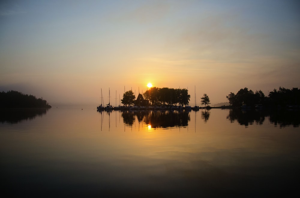 silhouette of trees on body of water during sunset