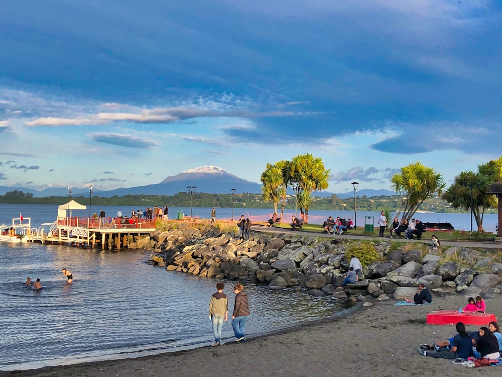 people walking on beach during daytime