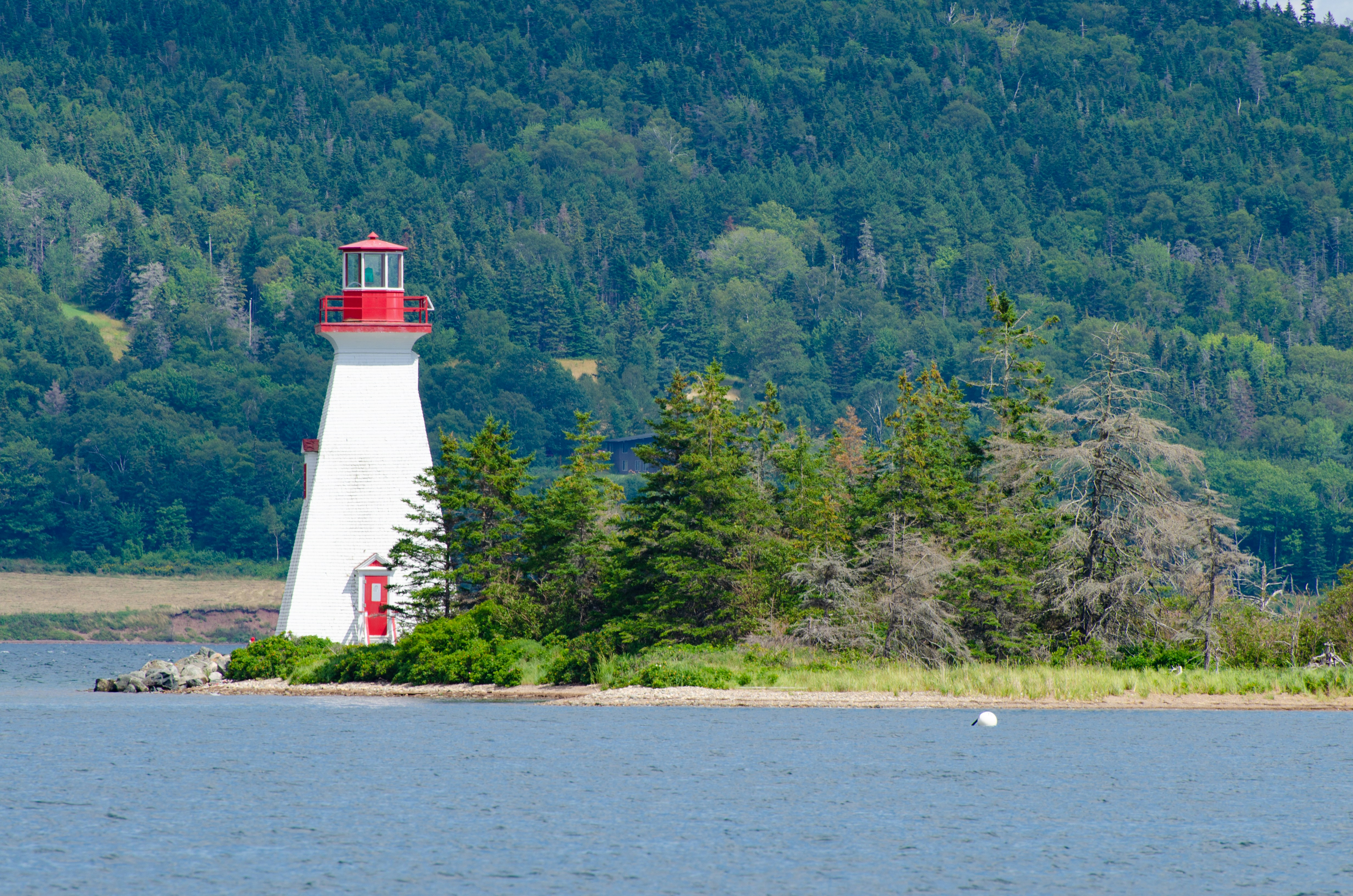 white and red lighthouse near green trees during daytime
