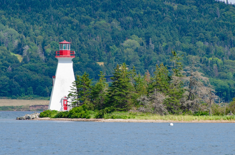 Phare blanc et rouge près des arbres verts pendant la journée