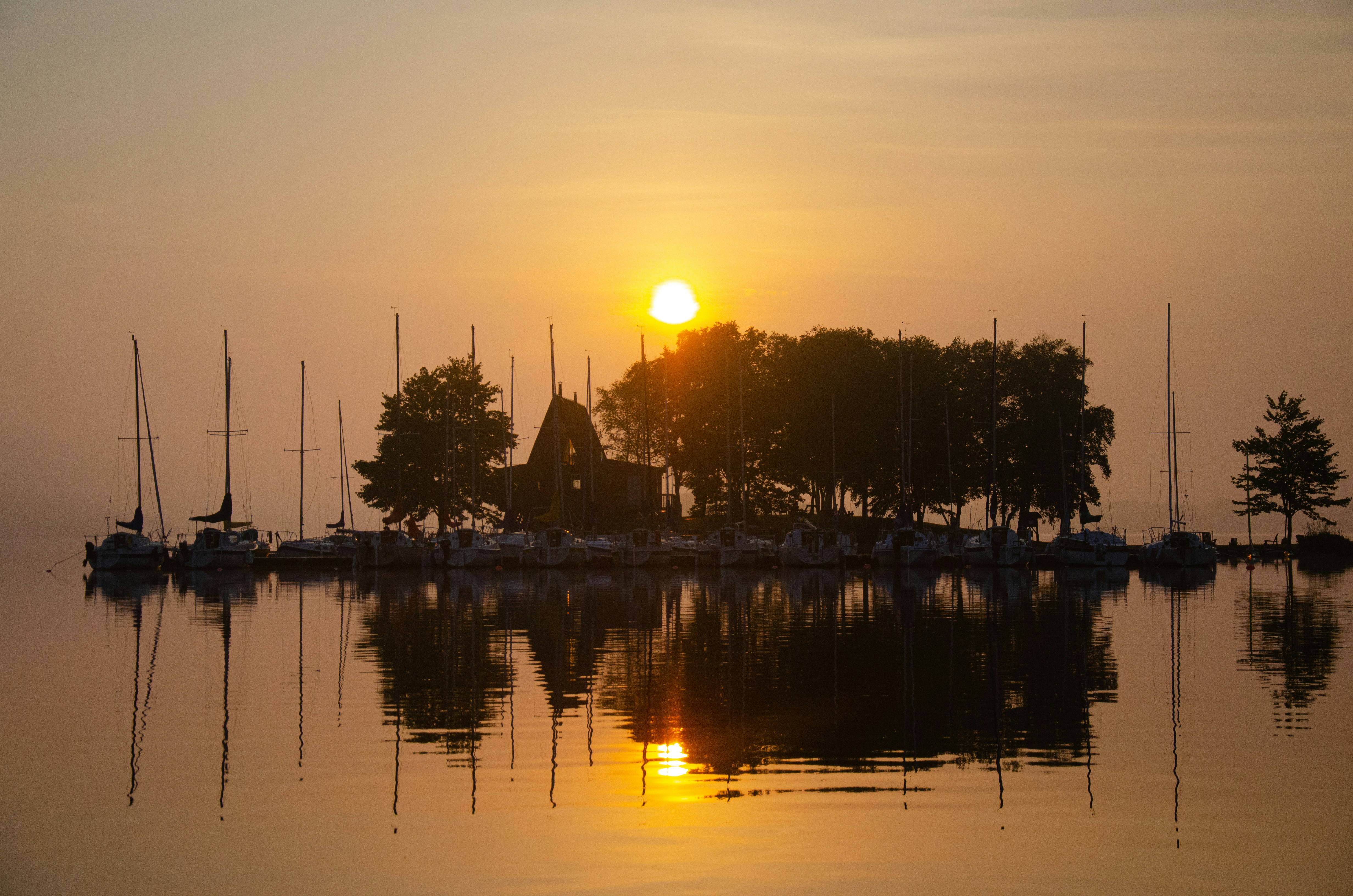 silhouette of trees and houses near body of water during sunset