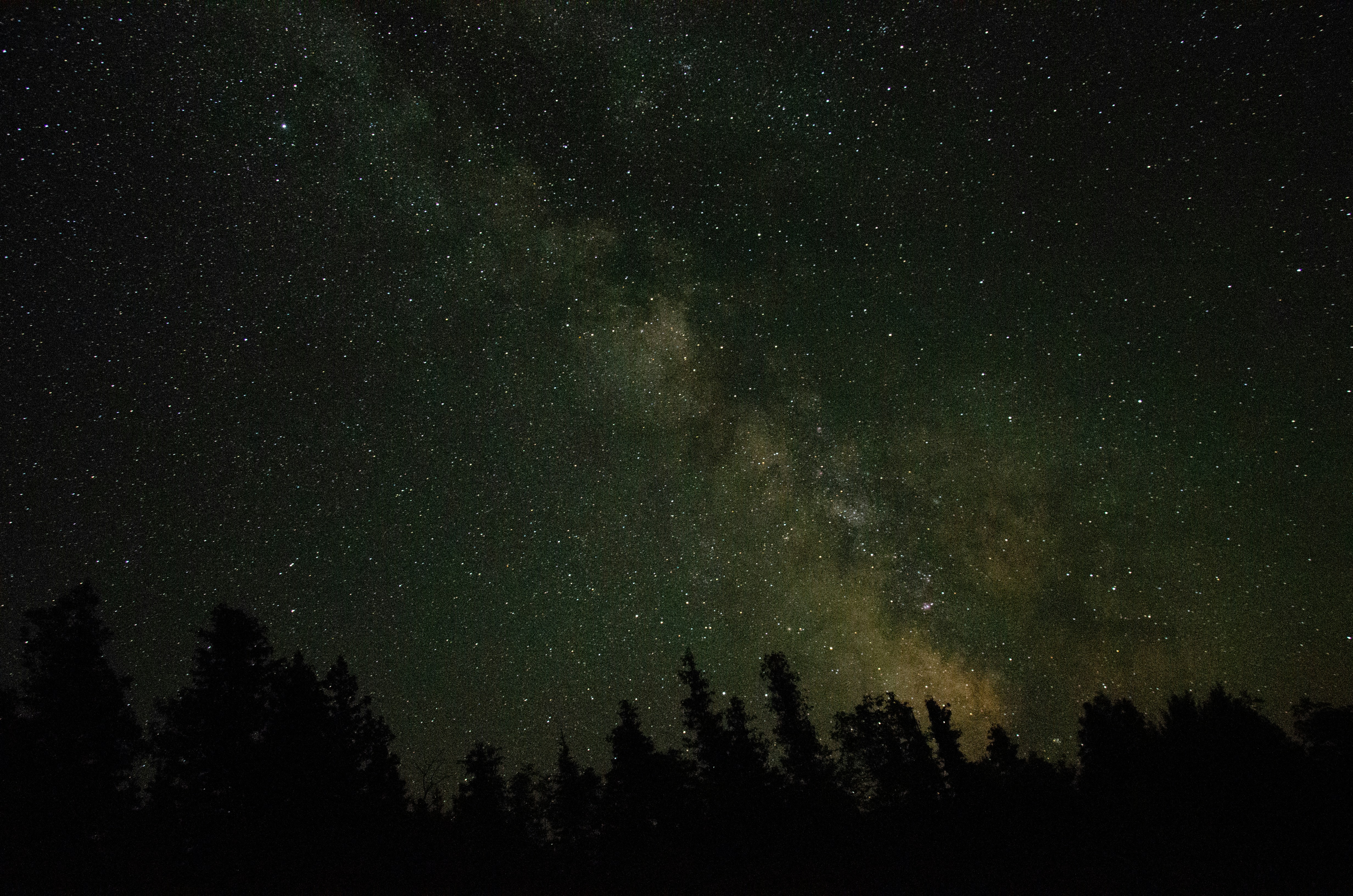 Photo by kevin_provrgd