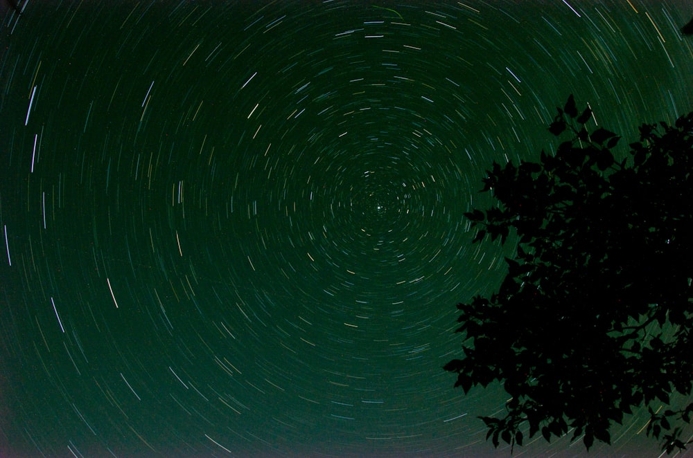 green trees under starry night