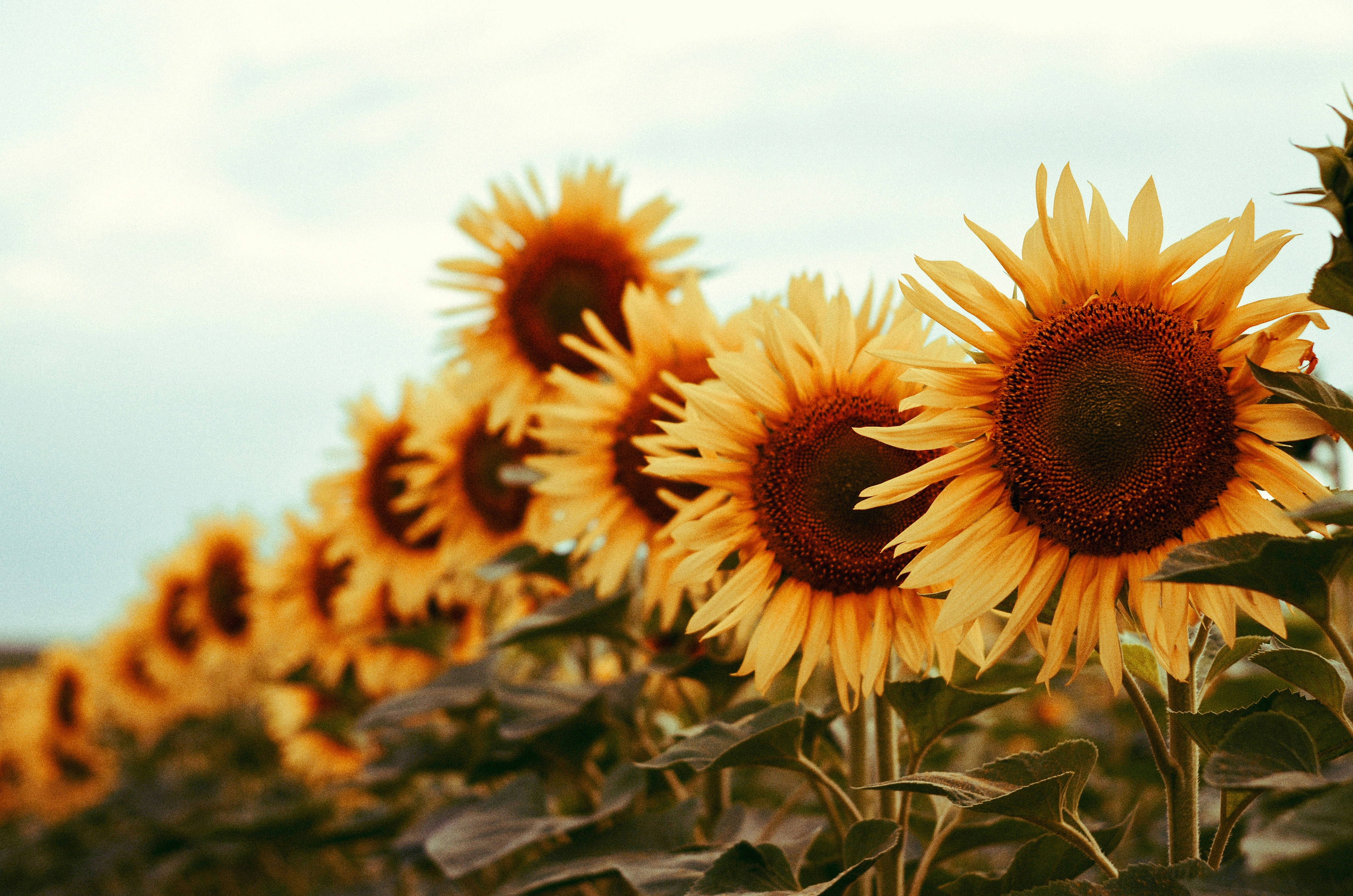 Photo by poliezhaievv